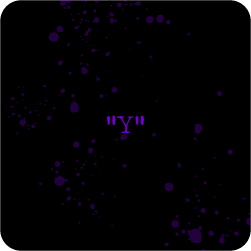 Y