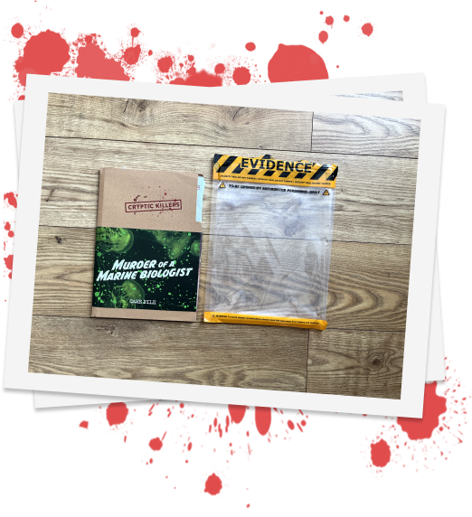 Murder Mystery Case File Game