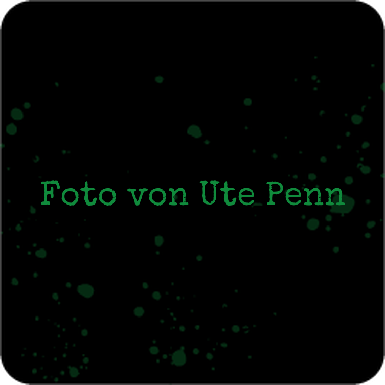 Foto von Ute Penn